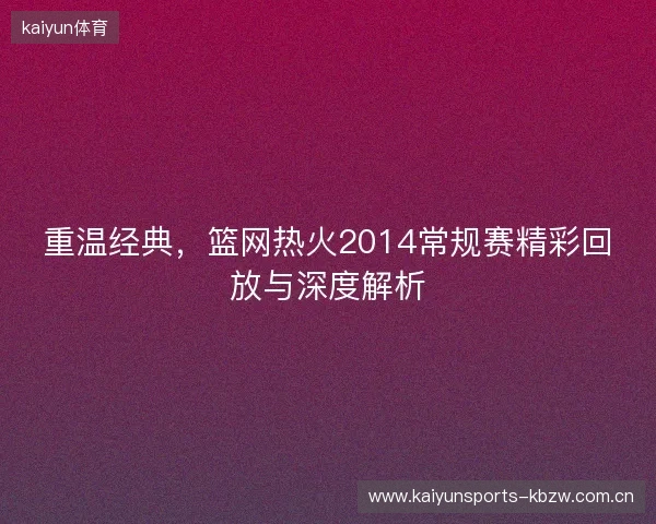 重温经典，篮网热火2014常规赛精彩回放与深度解析